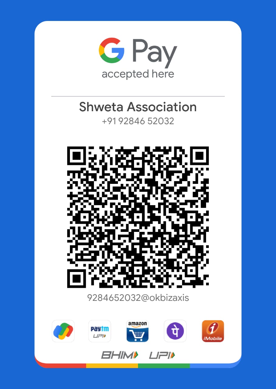 Payment QR Code